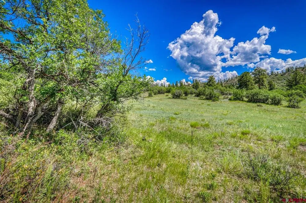 1084 Crowley Drive Chromo, CO 81147