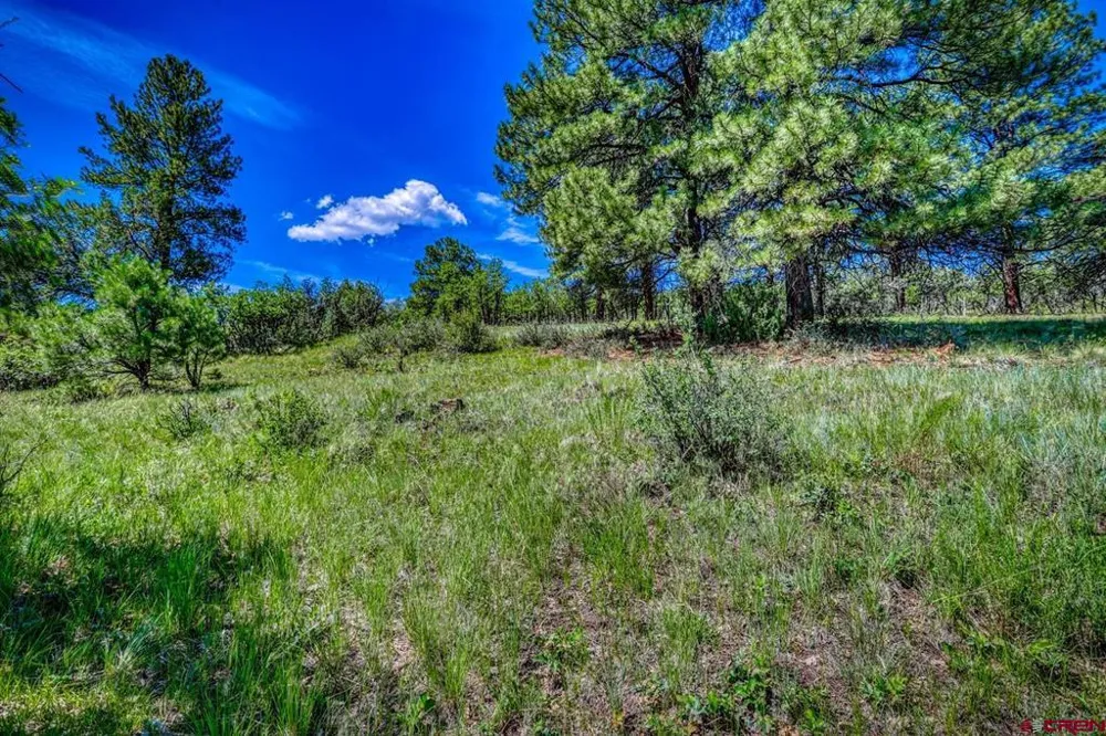 1084 Crowley Drive Chromo, CO 81147