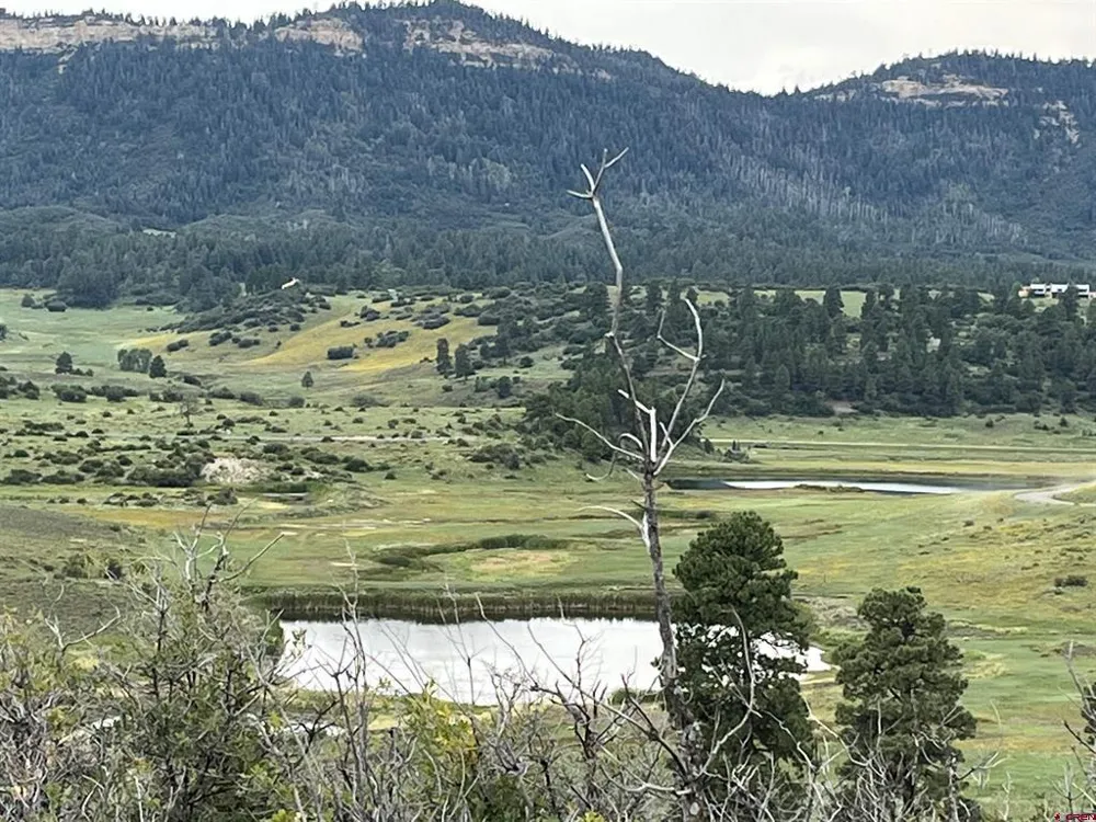 1084 Crowley Drive Chromo, CO 81147