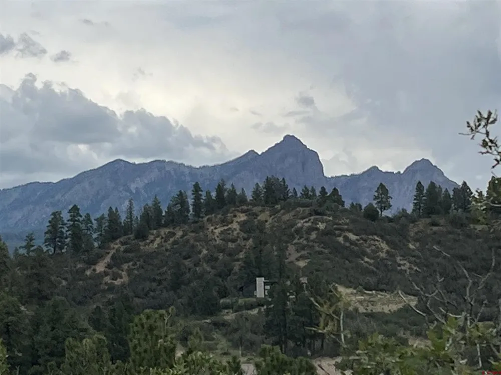 1084 Crowley Drive Chromo, CO 81147