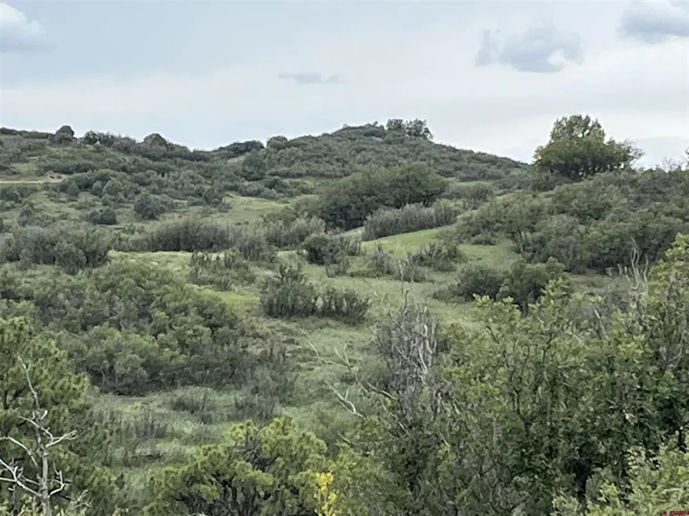 1084 Crowley Drive Chromo, CO 81147