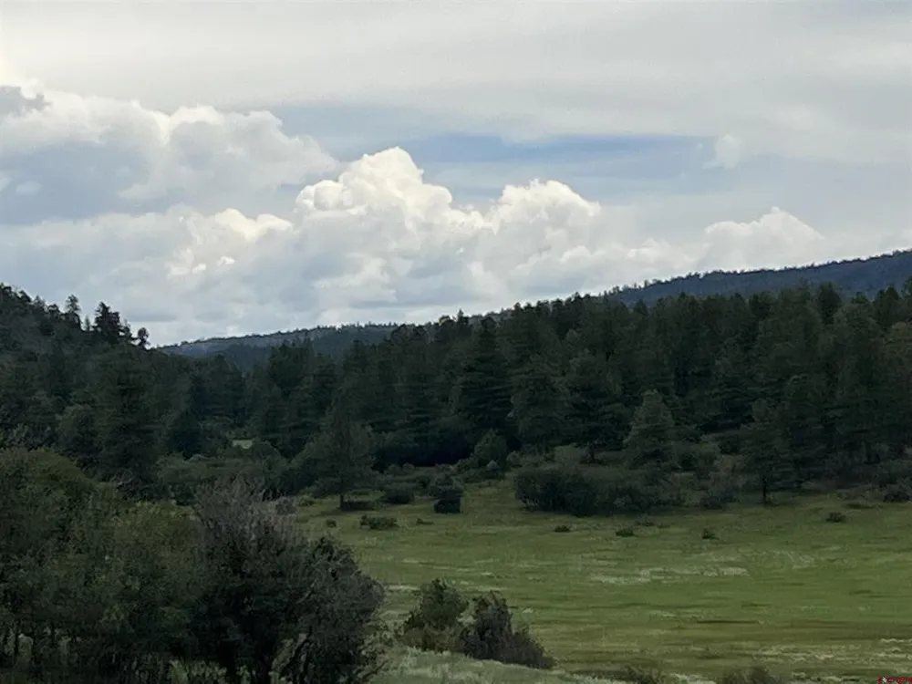 1084 Crowley Drive Chromo, CO 81147