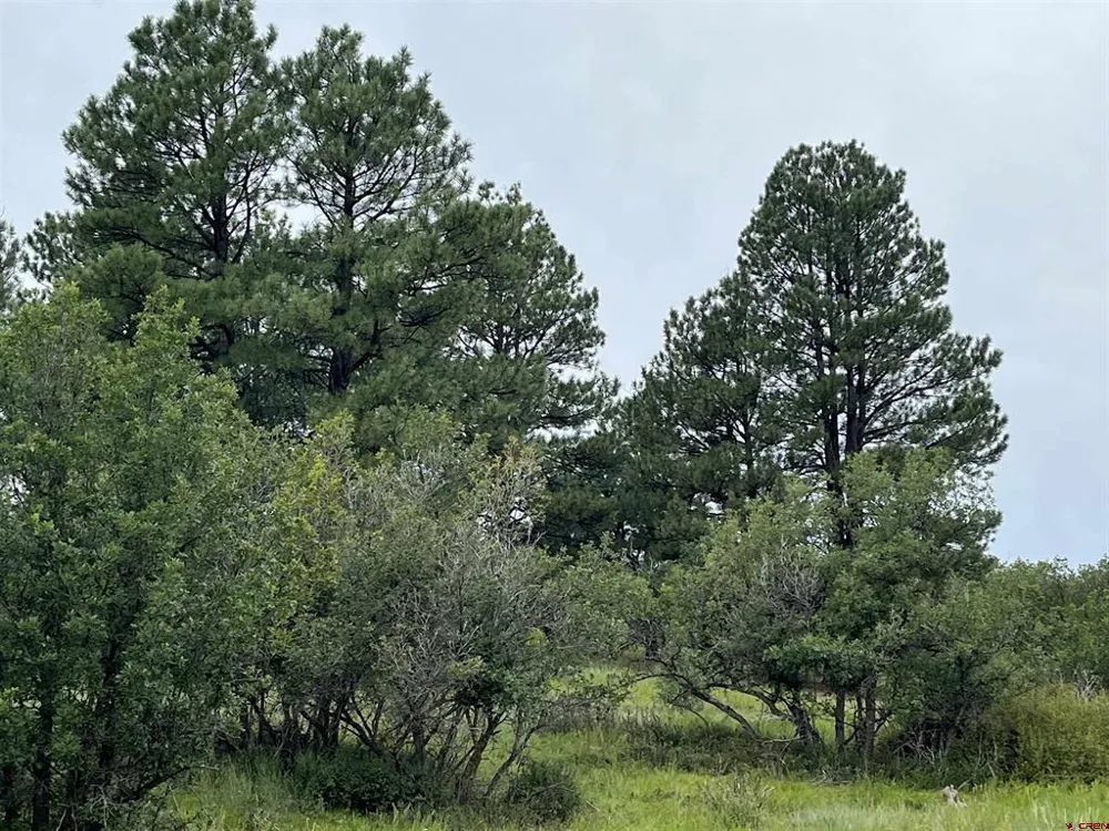 1084 Crowley Drive Chromo, CO 81147