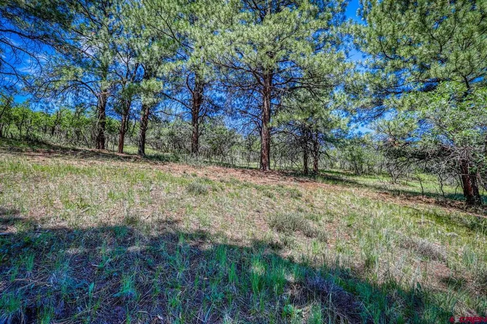 1084 Crowley Drive Chromo, CO 81147