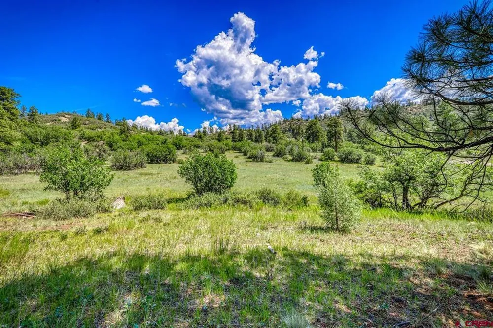 1084 Crowley Drive Chromo, CO 81147