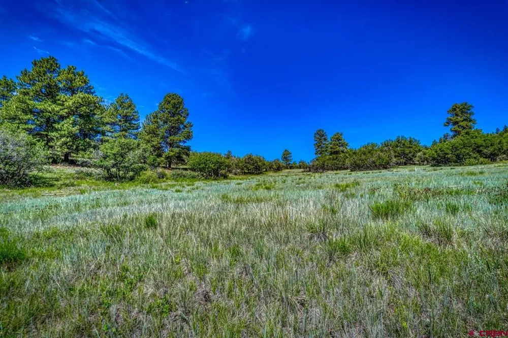1084 Crowley Drive Chromo, CO 81147