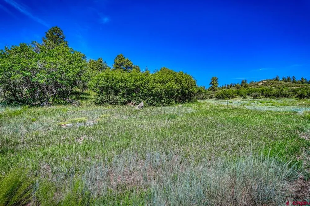 1084 Crowley Drive Chromo, CO 81147