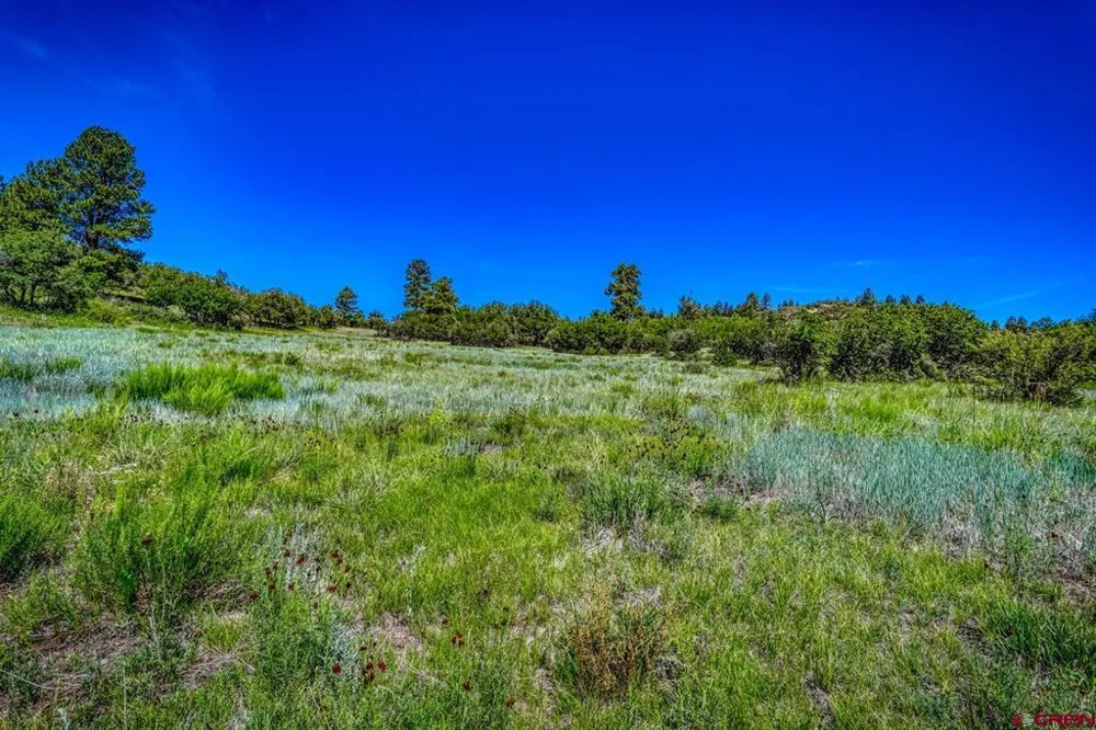1084 Crowley Drive Chromo, CO 81147