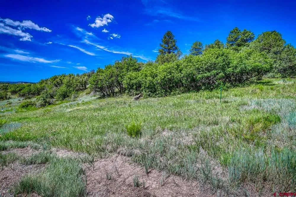 1084 Crowley Drive Chromo, CO 81147