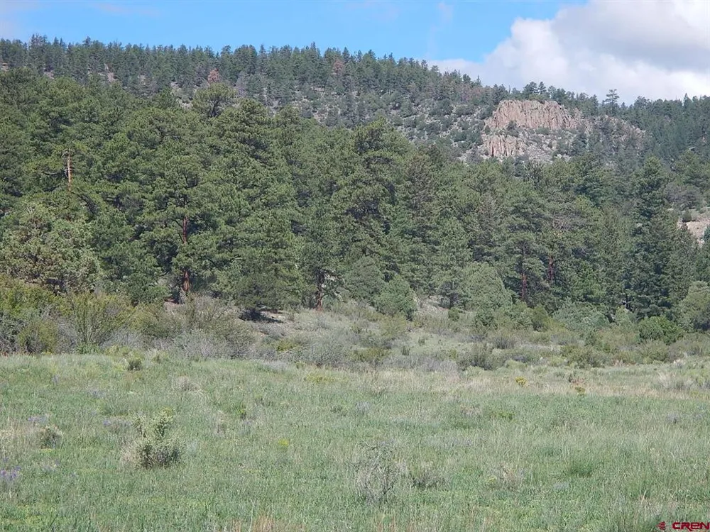 727 Bear Creek Circle South Fork, CO 81154