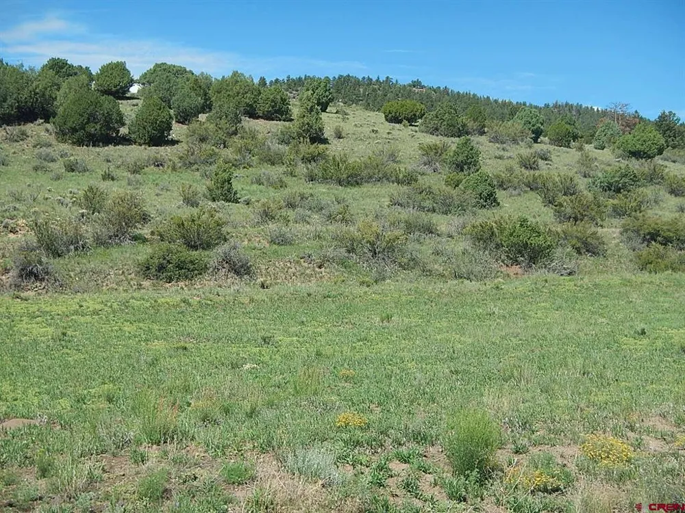 727 Bear Creek Circle South Fork, CO 81154