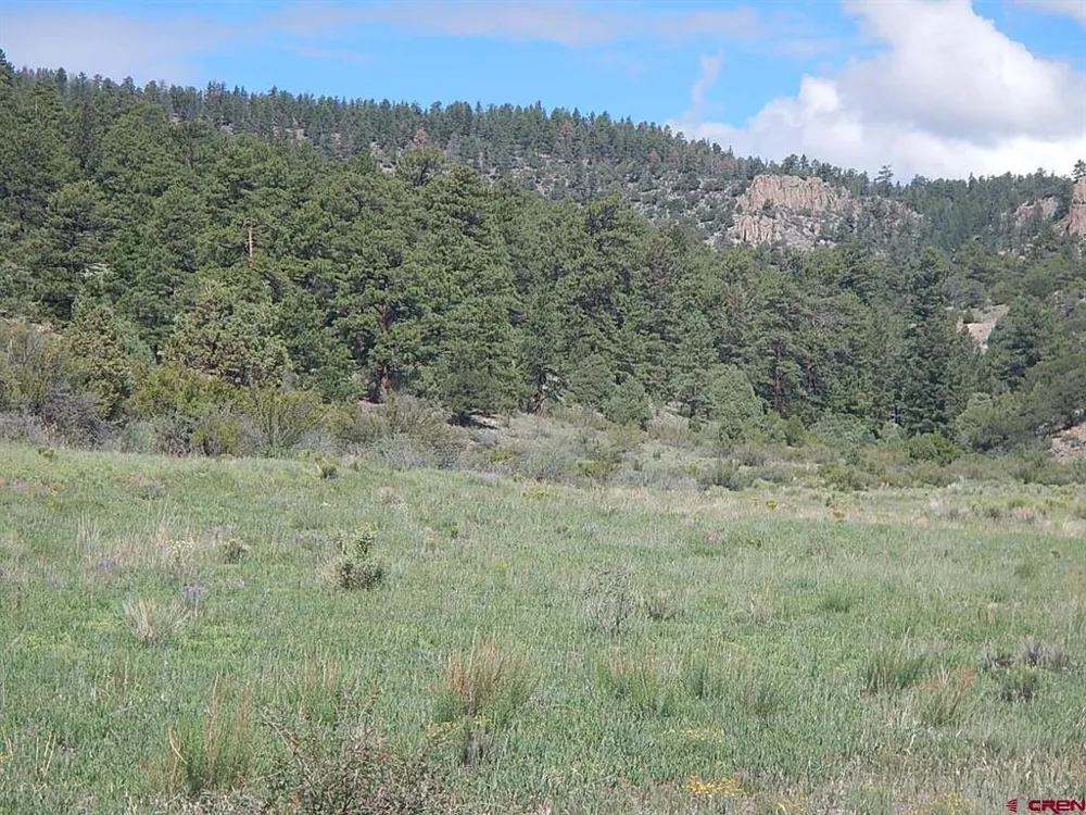 727 Bear Creek Circle South Fork, CO 81154