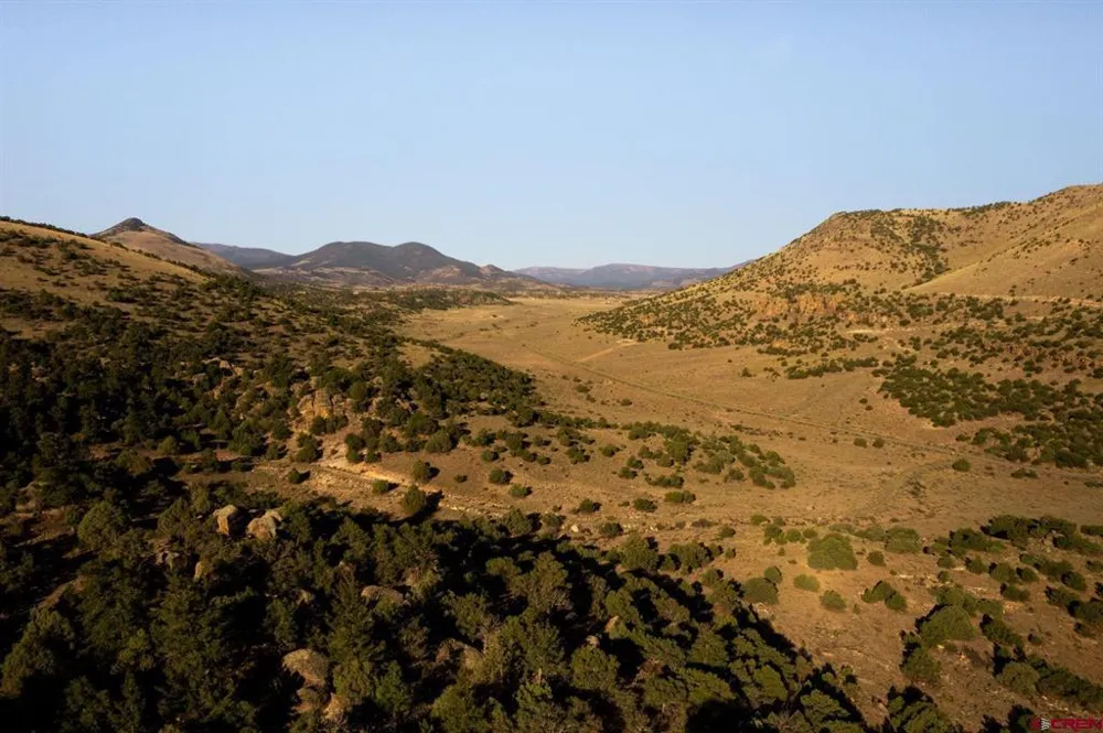 Tract 41 Wapiti Ridge Road Del Norte, CO 81132