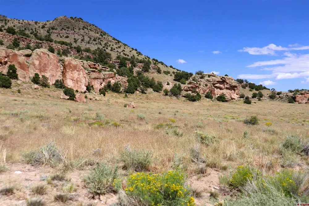 Tract 41 Wapiti Ridge Road Del Norte, CO 81132