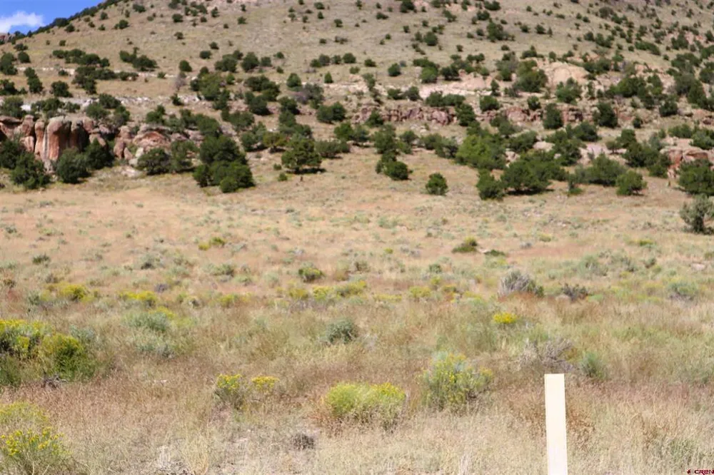 Tract 41 Wapiti Ridge Road Del Norte, CO 81132