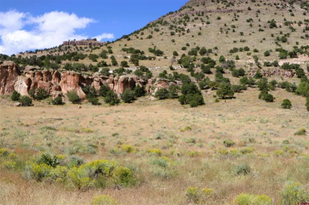 Tract 43 Wapiti Ridge Road Del Norte, CO 81132