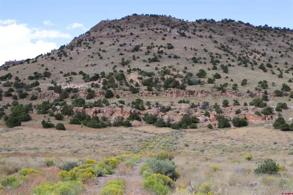 Tract 43 Wapiti Ridge Road Del Norte, CO 81132