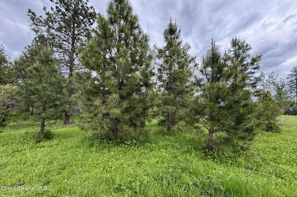 Lot 11 Hewitt Lane Dover, ID 83825