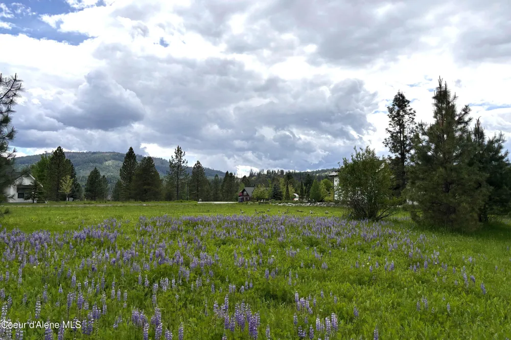 Lot 11 Hewitt Lane Dover, ID 83825