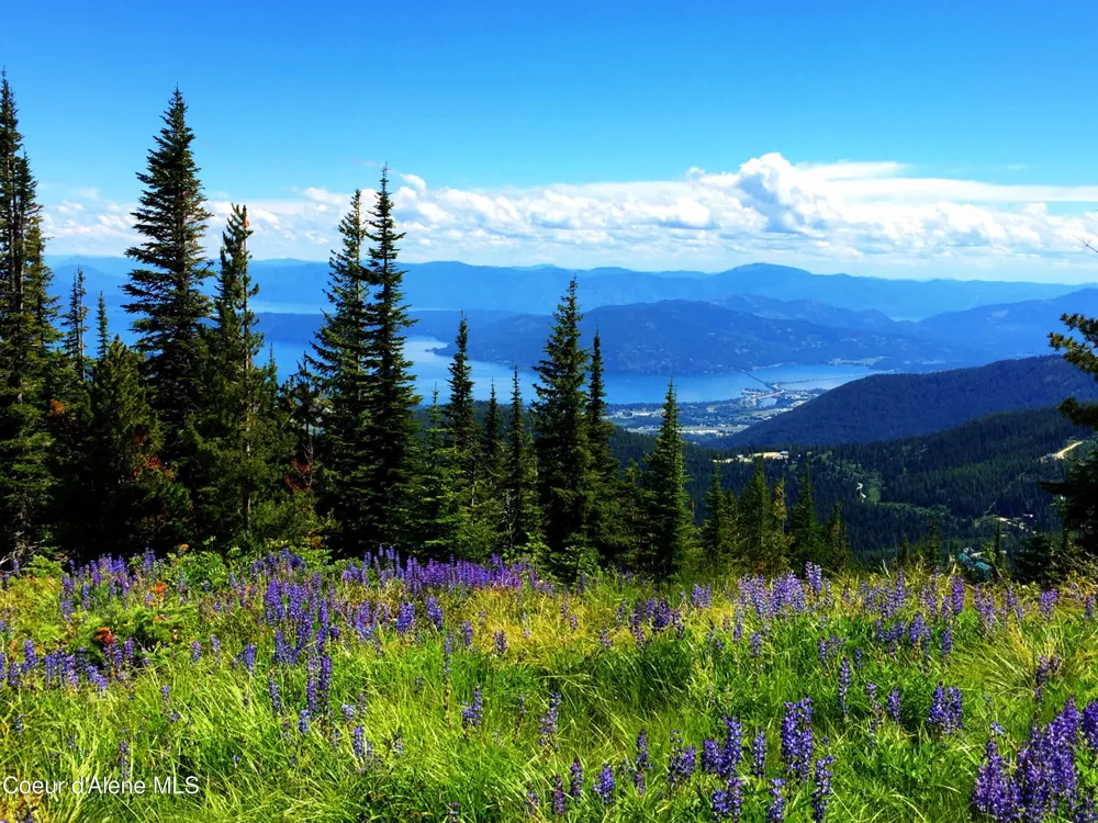 495 Northwest Passage ##103 Sandpoint, ID 83864