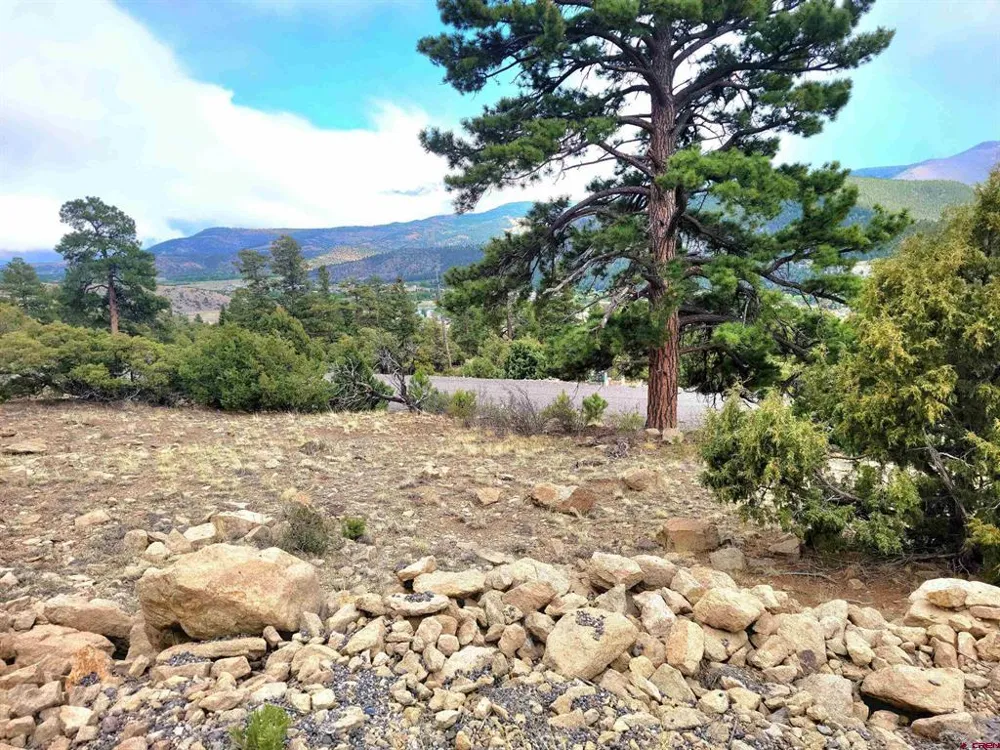 Little Bear Circle Lot 55 South Fork, CO 81154