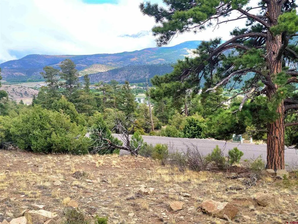 Little Bear Circle Lot 55 South Fork, CO 81154