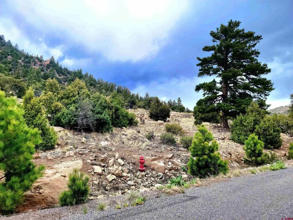 Little Bear Circle Lot 55 South Fork, CO 81154