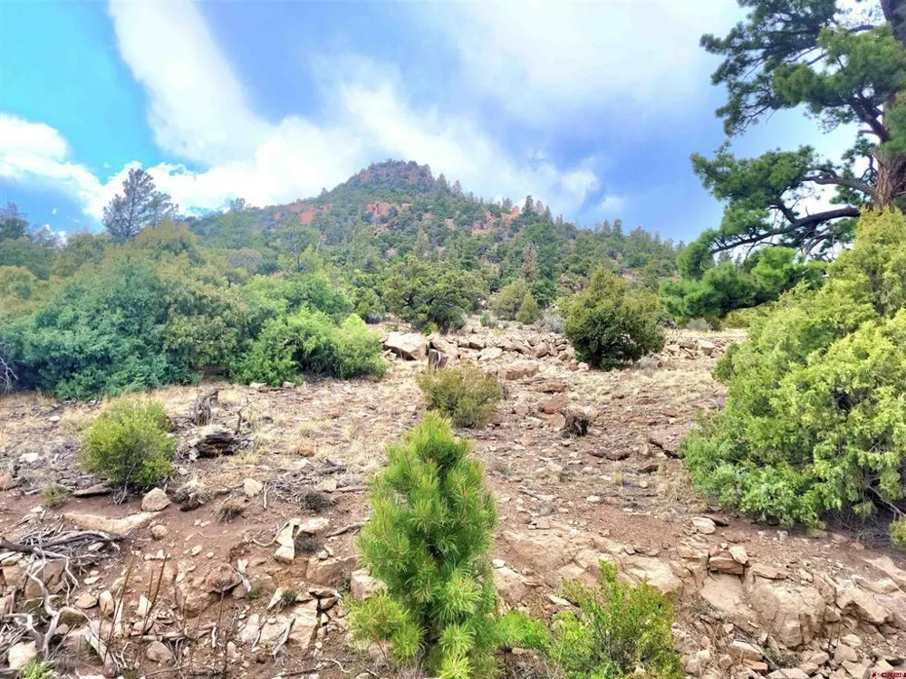 Little Bear Circle Lot 55 South Fork, CO 81154