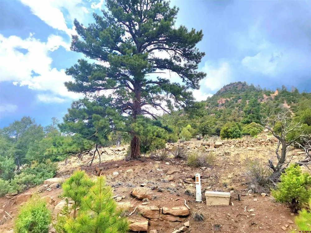 Little Bear Circle Lot 55 South Fork, CO 81154