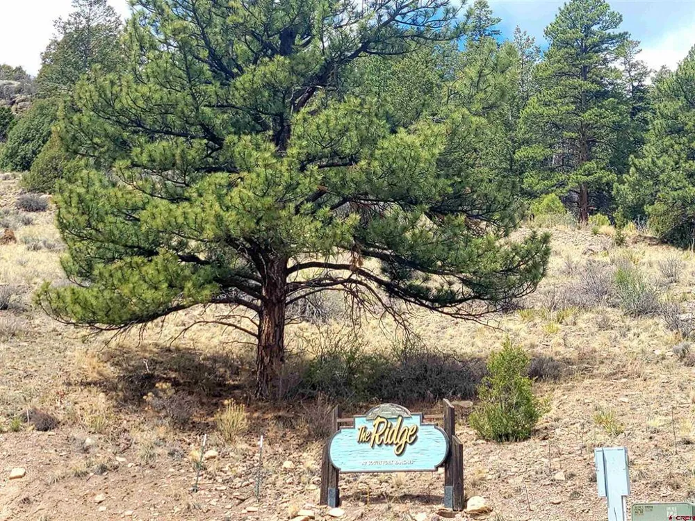 Little Bear Circle Lot 55 South Fork, CO 81154