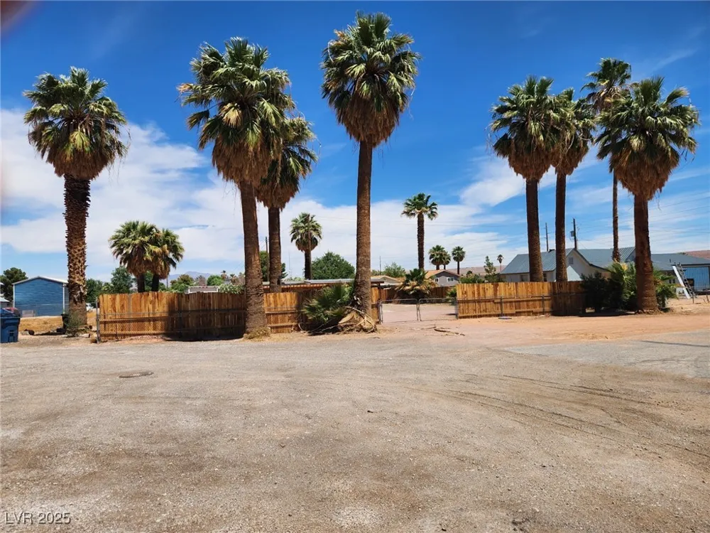 542 Bonelli Avenue Overton, NV 89040
