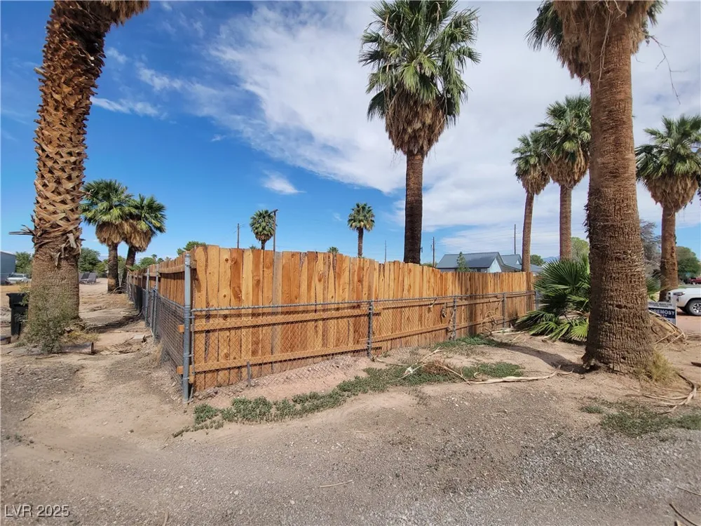 542 Bonelli Avenue Overton, NV 89040