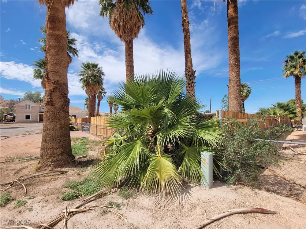 542 Bonelli Avenue Overton, NV 89040