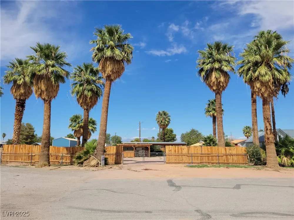 542 Bonelli Avenue Overton, NV 89040