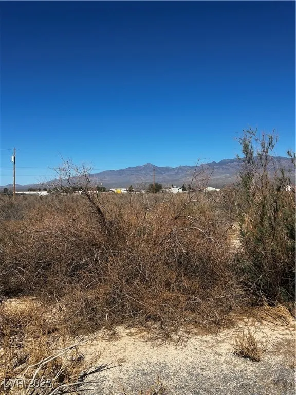 1450 Gee Street Pahrump, NV 89060