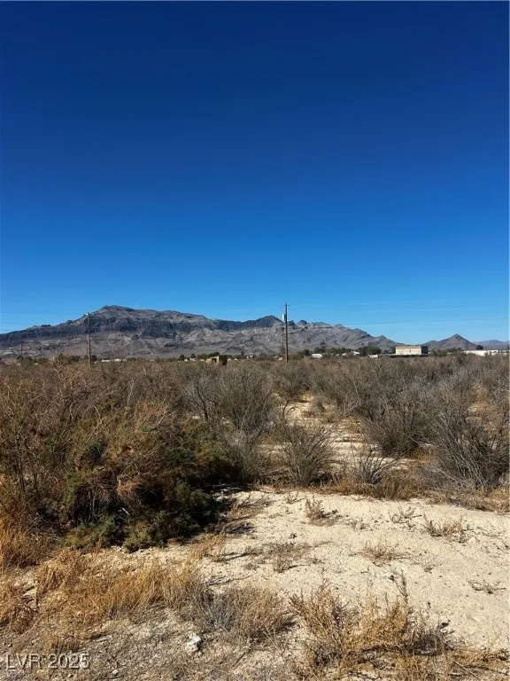 1450 Gee Street Pahrump, NV 89060