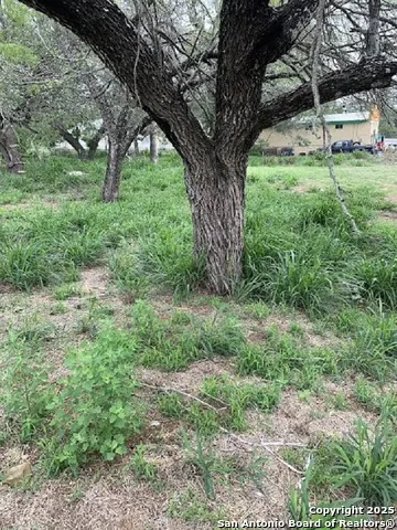 413 Ross Devine, TX 78016