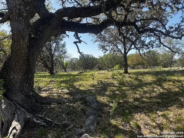 698 Kahn Rio Frio, TX 78879