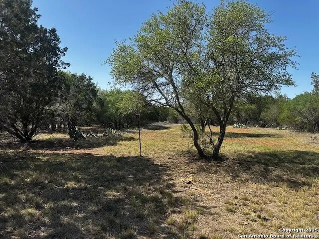 698 Kahn Rio Frio, TX 78879