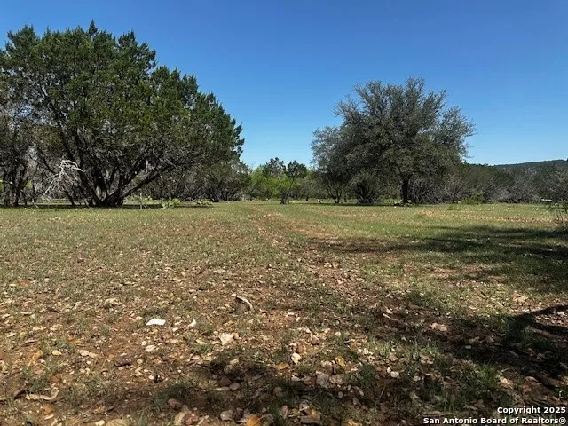698 Kahn Rio Frio, TX 78879