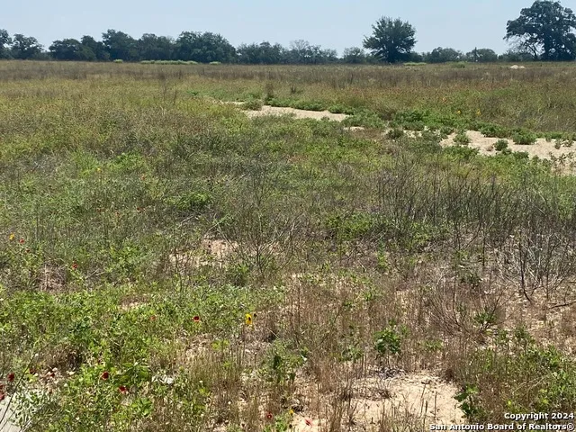 918 FALLBROOK LN La Vernia, TX 78121
