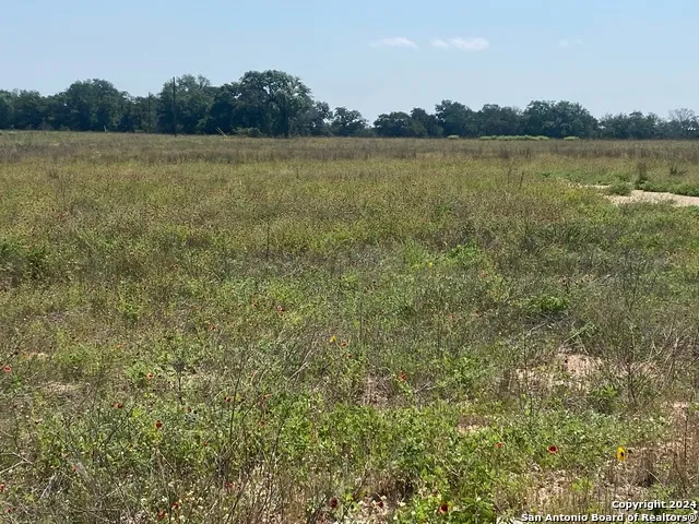 918 FALLBROOK LN La Vernia, TX 78121