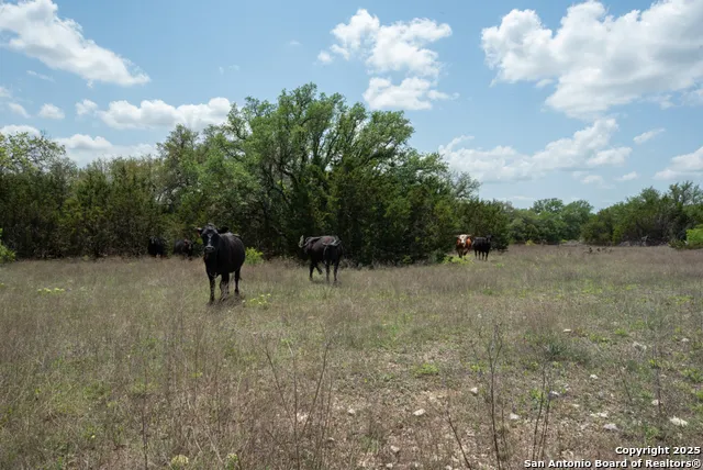287 County Rd 2722 Lometa, TX 76853
