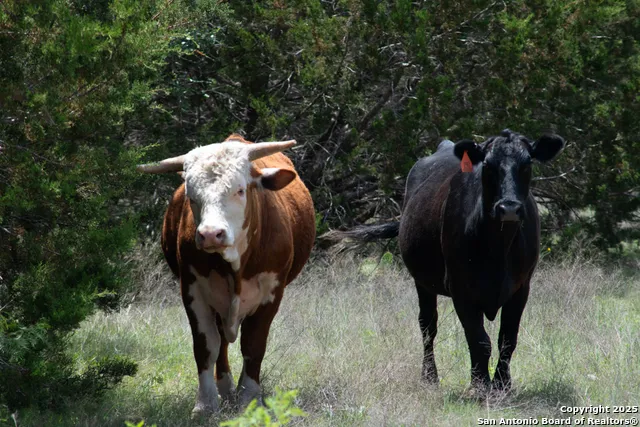 287 County Rd 2722 Lometa, TX 76853