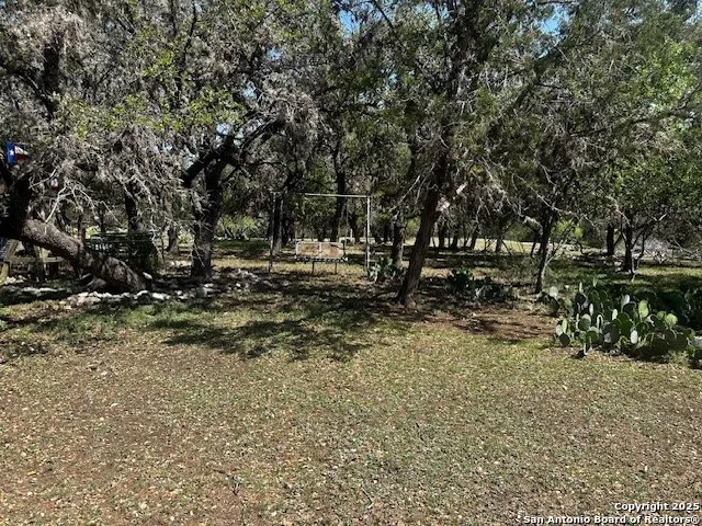 698 Kahn Rio Frio, TX 78879