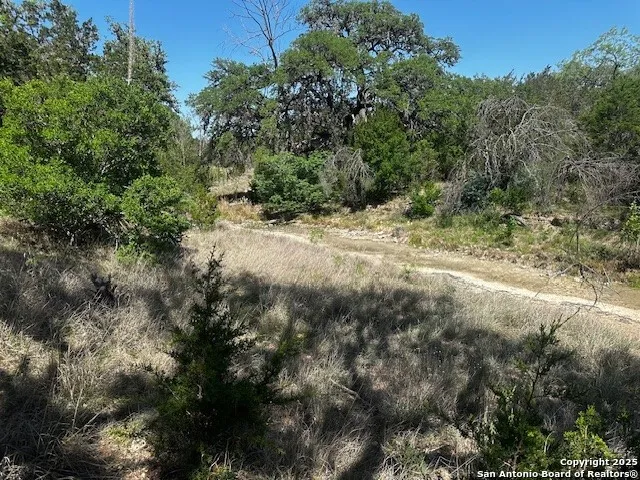 698 Kahn Rio Frio, TX 78879
