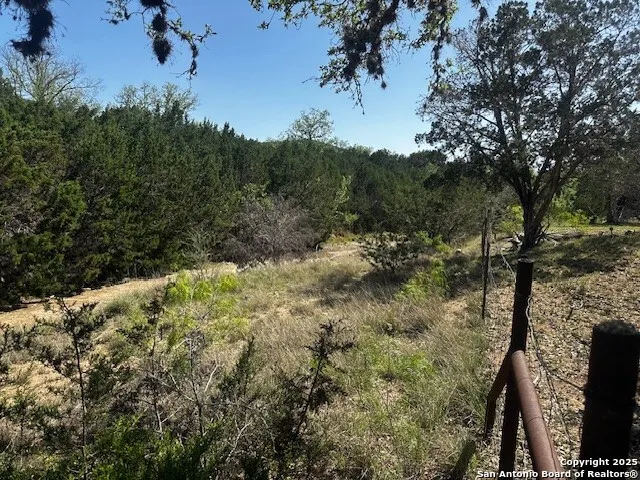 698 Kahn Rio Frio, TX 78879