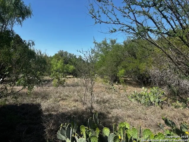 698 Kahn Rio Frio, TX 78879