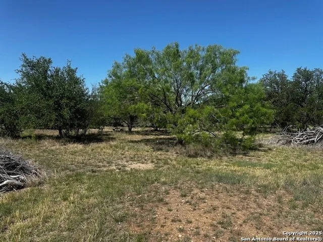 698 Kahn Rio Frio, TX 78879