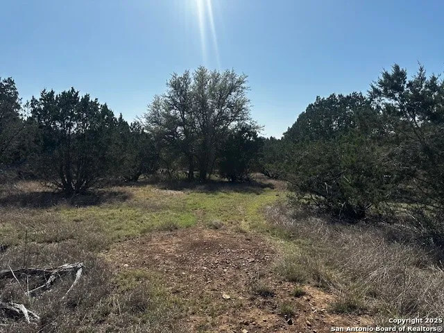 698 Kahn Rio Frio, TX 78879